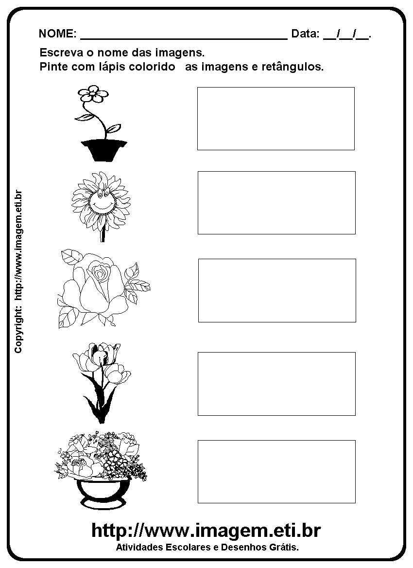 Atividade Para Imprimir de Escrever os Nomes das Flores