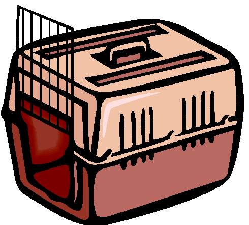Caixa de Transportar Pets