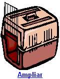 Caixa de Transportar Pets