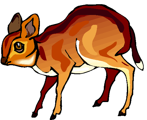 Clipart Cervo, Bambi