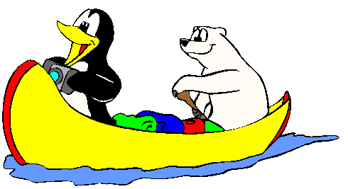 Urso e Pinguim em Canoa
