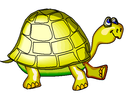 Tartaruga Amarela