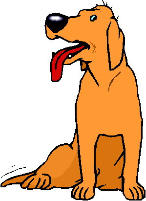 Cachorro Laranja Com Lingua de Fora