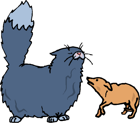 Clipart Gato e Cachorro Juntos