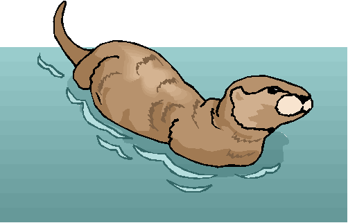 Clipart Animal Nadando