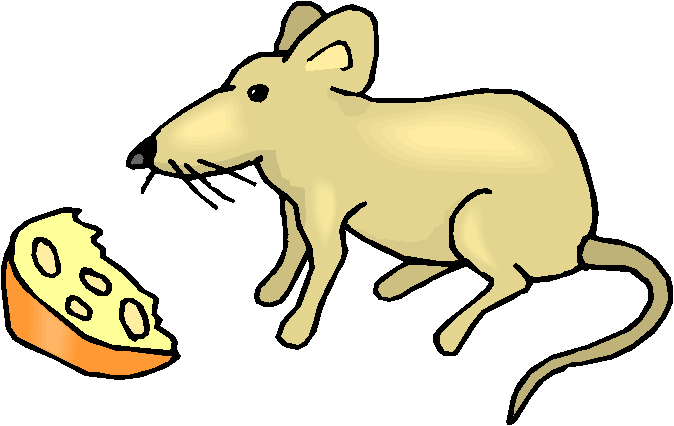 Clipart Ratinho Comendo Queijo