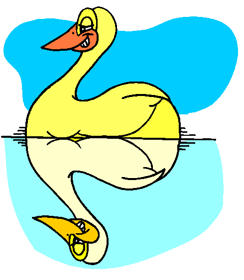 Pato Amarelo Com Reflexo Na Água