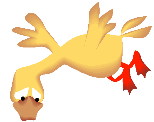 Pato Amarelo Com Patas Vermelhas