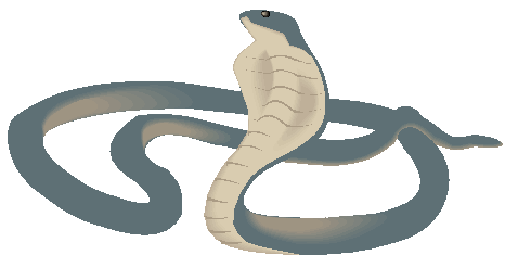 Cobra Cascavel