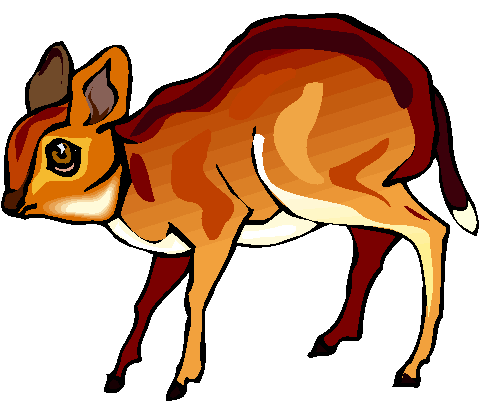 Clipart Bambi