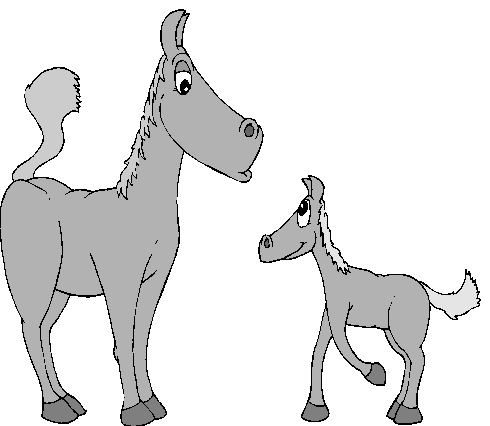 Cavalo e Pônei