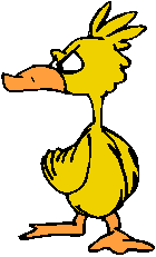Pássaro Amarelo Bravo