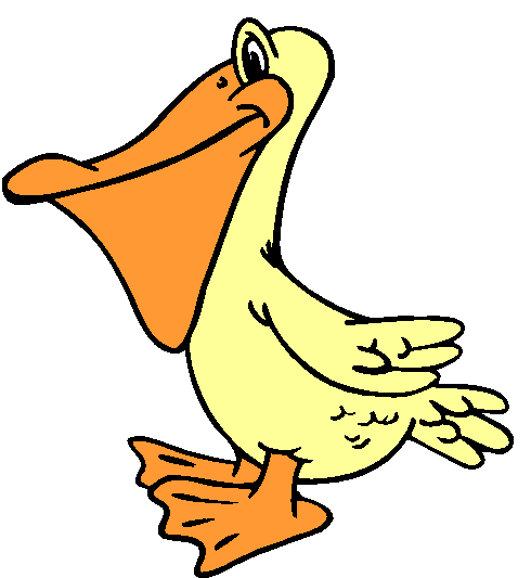 Clipart Pelicano