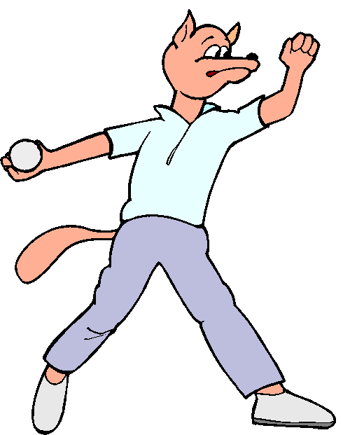 Gato Jogando Beisebol