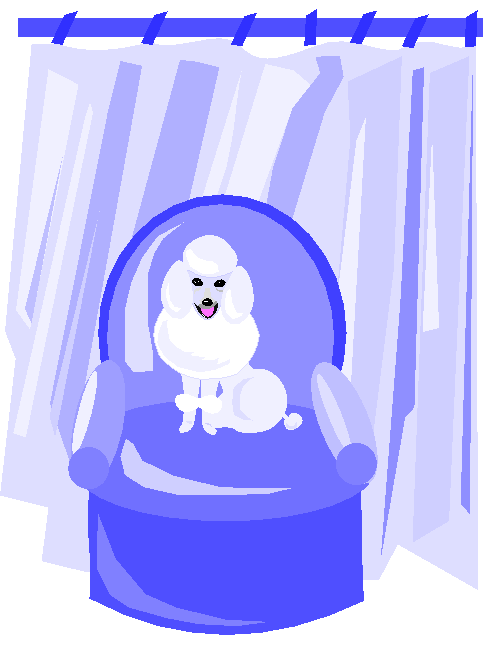 Cachorrinha Sentada No Sofá Azul