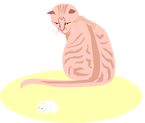 Gato Observando Rato