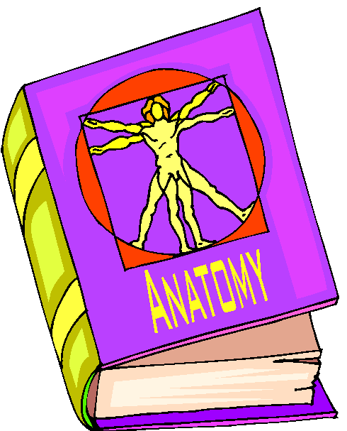 Clipart Livro de Anatomia