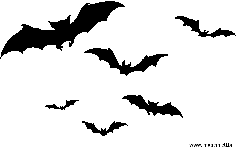 Grupo de Morcegos