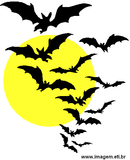 Grupo de Morcegos Voando