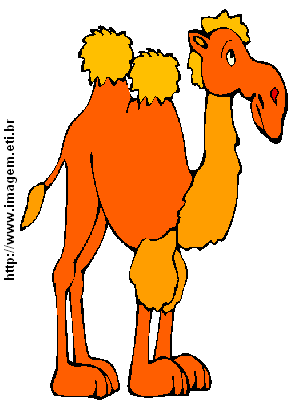 Camelo Laranja