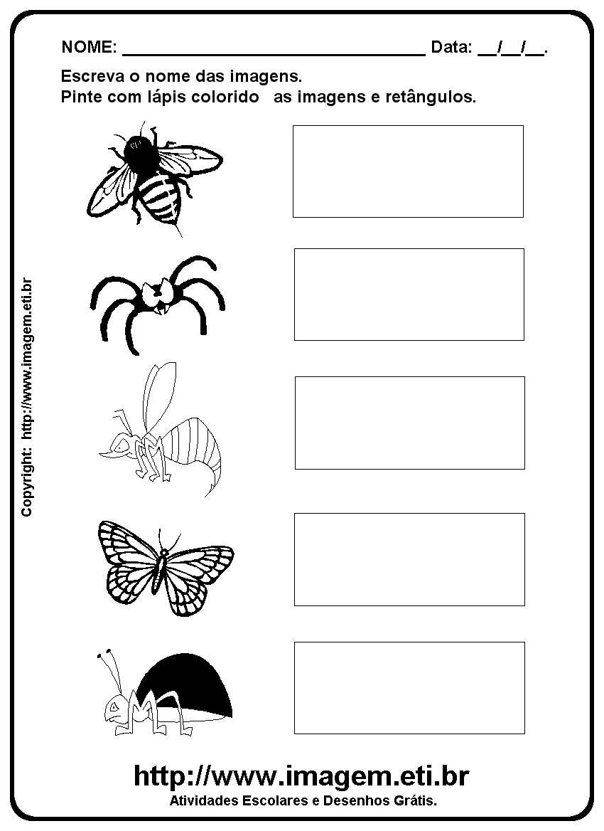 Atividade Para Imprimir de Escrever os Nomes dos Insetos