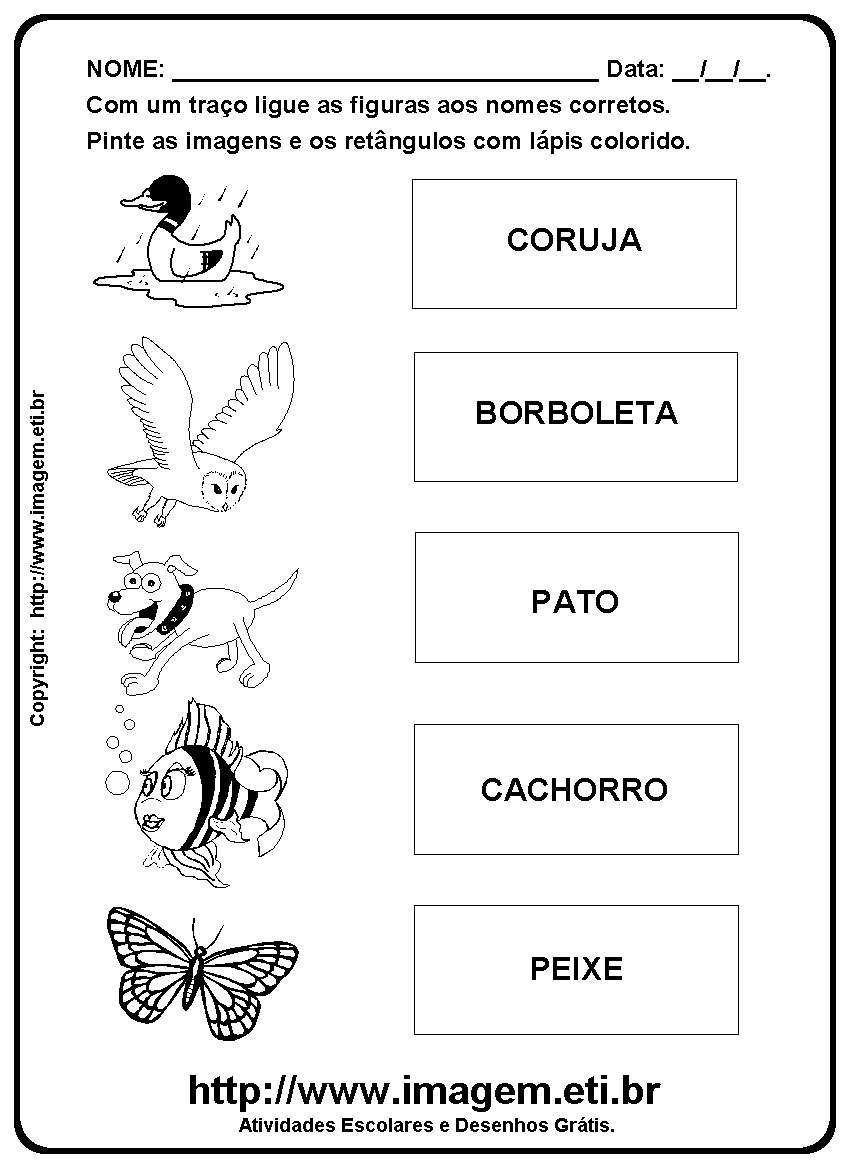 Atividade Para Imprimir: Caça Palavras Nomes Aves.