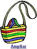 Bolsa Multi Colorida Com Alça