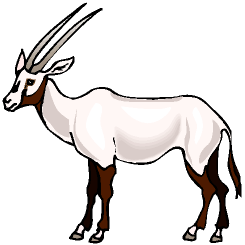 Clipart Cabrito