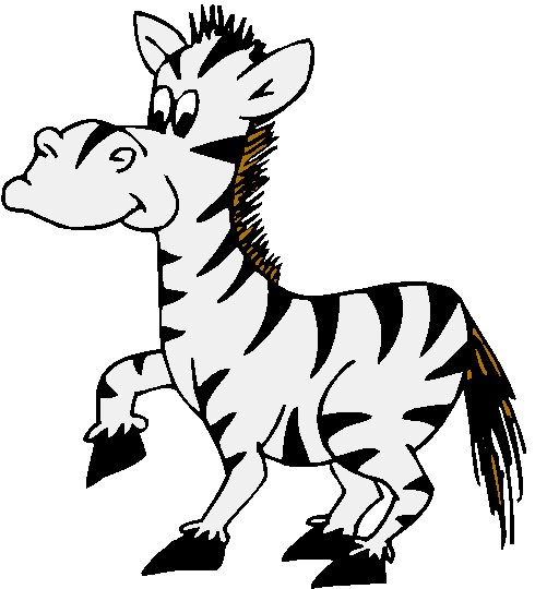 Zebra