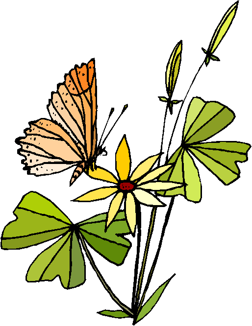 Clipart Borboleta Pousando Sobre Uma Flor