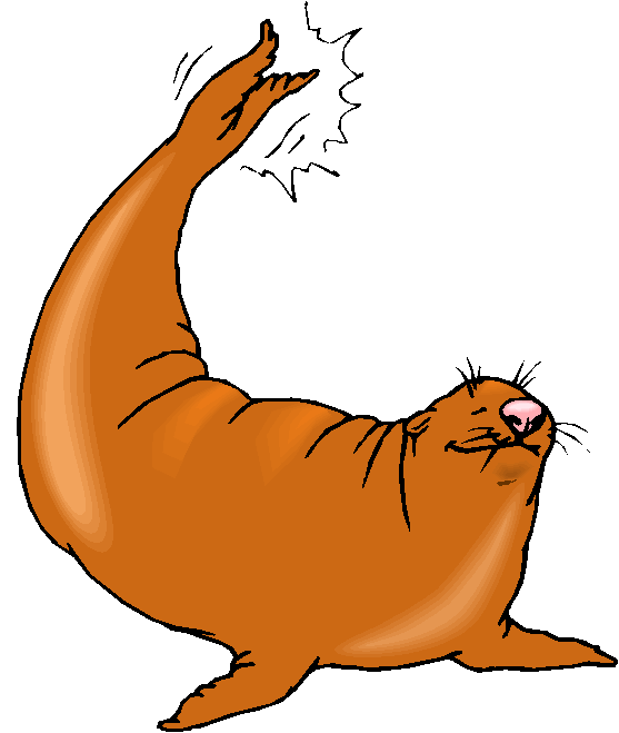 Clipart Foca