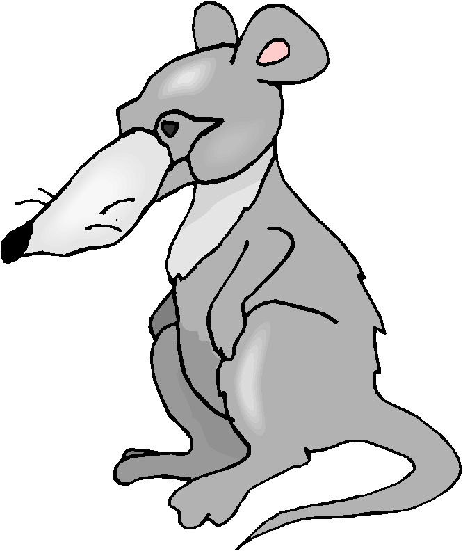 Clipart Ratazana