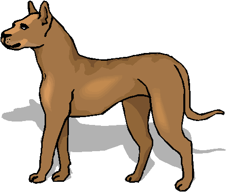 Clipart Cachorro Marrom