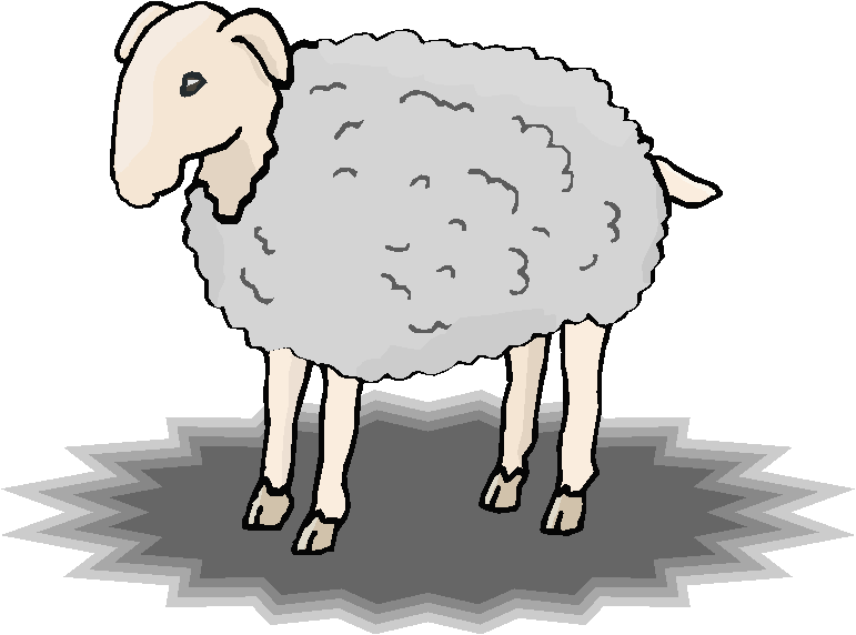 Ovelha Com Muita Lã