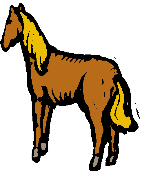 Cavalo Marrom Com Crina Côr Laranja
