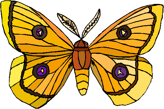 Clipart Borboleta em Tons de Amarelo e Laranja