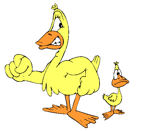 Clipart Pato e Patinho