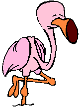 Clipart Pássaro Dormindo