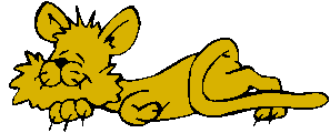 Clipart Gato Dormindo