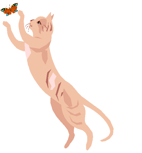 Clipart Gato Brincando Com Borboleta