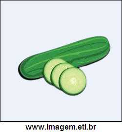 Pepino